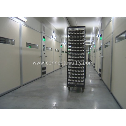 Poultry Farms Automatic Incubator